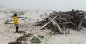 Child looking at hurricane debris on the beach.