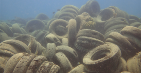 A large pile of dozens of damaged tires covered in tiny green algae sit underwater in a dark blue ocean. 