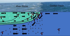 A drawing of where a river outflow meets the ocean. On the left side of the image, the river outflow, also known as a river plum, is lighter in color compared to the right side of the ocean image which is a darker blue.