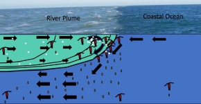 A drawing of where a river outflow meets the ocean. On the left side of the image, the river outflow, also known as a river plum, is lighter in color compared to the right side of the ocean image which is a darker blue.