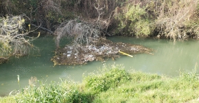 A patch of twigs and leaves mixed with water bottles and other plastic debris are snagged in large branches and floating in a bayou on a sunny day.