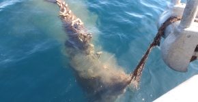 A ghost net is pulled onto a boat in Lake Superior. 