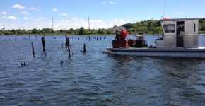 Clean Bays works to remove debris from 18 miles of shoreline and near shore environments in East Providence, Rhode Island.
