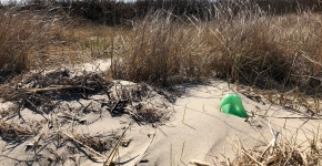 A plastic water bottle buried in a sand dune.
