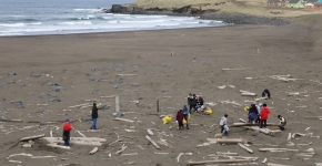 Cleanup volunteers removing debris on a beach.