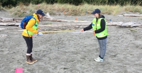 Two people laying a transect.