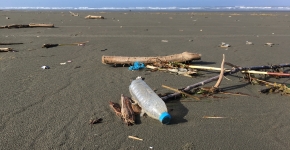 A plastic water bottle and some sticks on a shoreline.