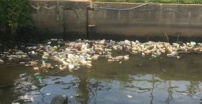 Plastic bottles floating in a river.