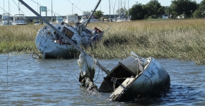 ADVs rest in Charleston Harbor Watershed. 