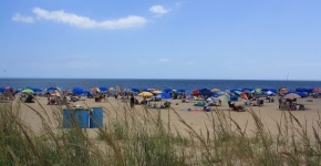 A beach filled with people and umbrellas located in Delaware.