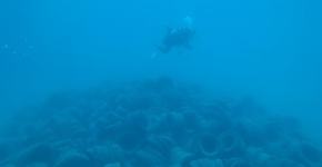 A SCUBA diver swims over a very large pile of 2,482 tires all resting on the seafloor.