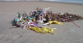 Deflated balloons on a beach.