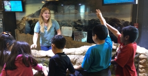 Children learn about marine debris at the Santa Barbara museum.