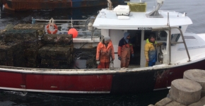 A pile of recovered lobster traps on the back of a docked vessel.