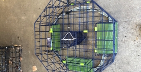 A top down view of a crab pot with three green panels that will dissolve over time.