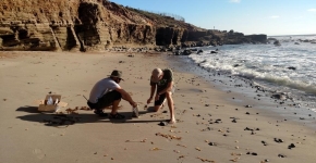 Two people sampling on a beach.