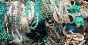 Derelict nets in a pile.