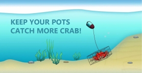 An illustrated image of a crab in a crab pot with the words "keep your pots, catch more crab!".