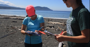 Two people recording on datasheets on a beach.