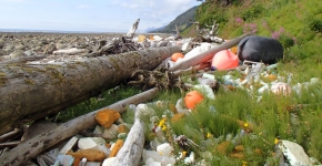 Derelict fishing gear and other marine debris in a grassy area next to a beach.