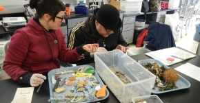 Two teachers sort through a bin of marine debris in a lab. 