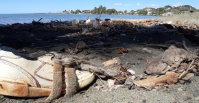 A shoe and other debris scattered on a sandy ocean beach.