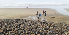 A group of people set up a survey on a beach.