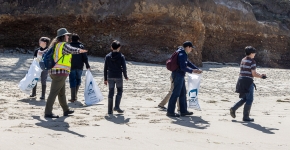 A group of students and their teacher search for debris on a sandy beach.