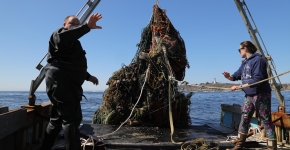 A large mass of derelict fishing gear getting hauled onto a vessel.