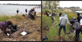 Community volunteers clean up a local shoreline. (Photo Credit: National Aquarium)