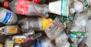 A pile of different single-use plastic bottles. 