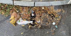 A plastic bag and other trash items mixed with leaf litter accumulate on top of an urban storm drain on a rainy day.
