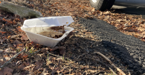 A takeout container left on the roadside.