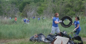 Salem Sound Coastwatch Cleanup.