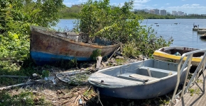 Derelict vessels on a mangrove forest shoreline.