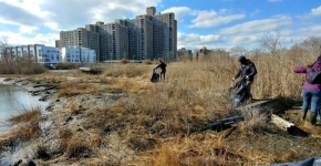 Three people walk along a shoreline that is covered with brown grass. They are collecting debris that floats on the water. Several large buildings can be seen in the background.