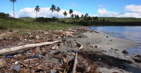 Marine debris mixed with natural debris on a beach shore.
