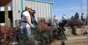 Seven people organize piles of wire crab traps on a pier in Louisiana.