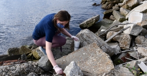 A student collecting debris on a rocky shore.