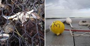 A derelict crab pot with crabs caught inside and floats to rig a pot.