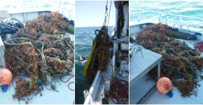 Photos of a derelict net on a boat.