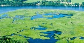 Aerial view of the Choptank river.
