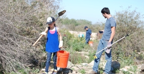 Volunteers remove debris and invasive species from a riparian area of the Tijuana River Valley.
