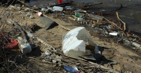 Trash on the Potomac River.