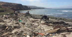 Debris on Tecelote Beach, Santa Rosa Island.