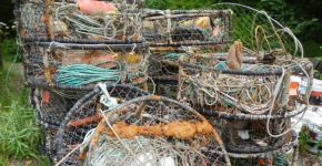 A pile of derelict crab pots.