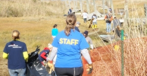 Volunteers remove debris from Long Beach's salt marsh in NY. 