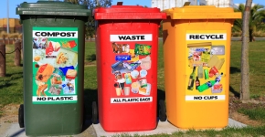 A green compost bin next to a red waste bin and a yellow recycle bin.