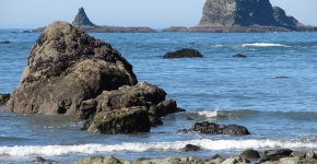 Olympic Coast National Marine Sanctuary