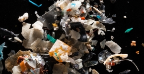 Microplastics sample from the Rhode River. (Photo Credit: Will Parson, courtesy of the Chesapeake Bay Program)